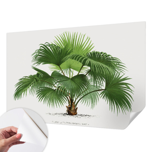 Fotobehang kinderkamer met een exotische palmboom als motief