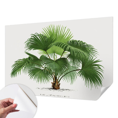 Fotobehang kinderkamer met een exotische palmboom als motief