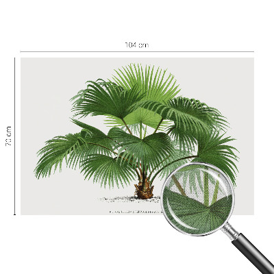 Fotobehang kinderkamer met een exotische palmboom als motief