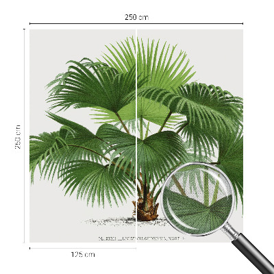 Fotobehang kinderkamer met een exotische palmboom als motief
