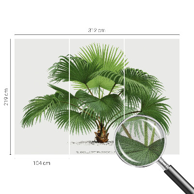 Fotobehang kinderkamer met een exotische palmboom als motief