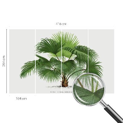 Fotobehang kinderkamer Exotische palmboom