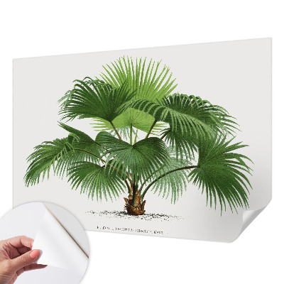 Fotobehang kinderkamer met een exotische palmboom als motief