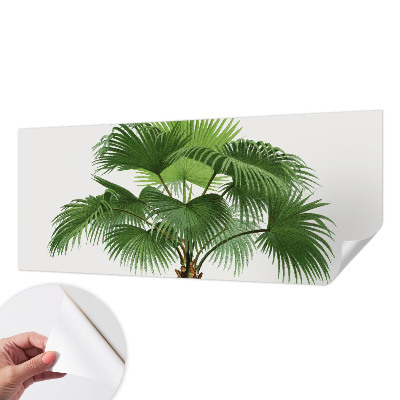 Fotobehang kinderkamer met een exotische palmboom als motief