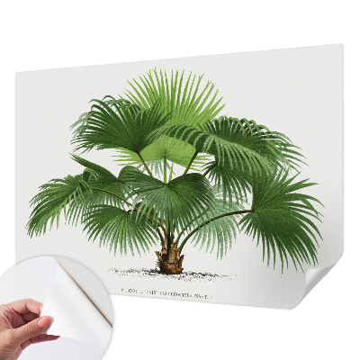 Fotobehang kinderkamer met een exotische palmboom als motief
