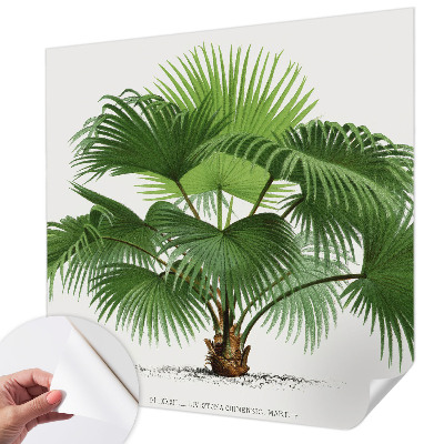 Fotobehang kinderkamer met een exotische palmboom als motief