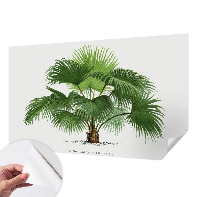 Fotobehang kinderkamer met een exotische palmboom als motief