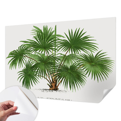 Fotobehang voor kinderkamer met een exotisch patroon