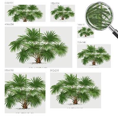 Fotobehang voor kinderkamer Exotisch patroon