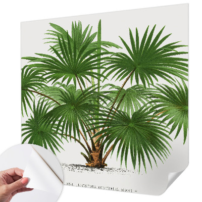 Fotobehang voor kinderkamer met een exotisch patroon