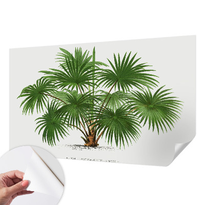 Fotobehang voor kinderkamer met een exotisch patroon
