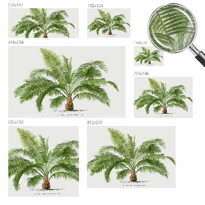 Fotobehang voor de kinderkamer Glanzende palmboom