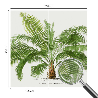 Fotobehang voor de kinderkamer Glanzende palmboom
