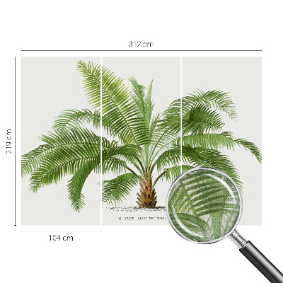 Fotobehang voor de kinderkamer Glanzende palmboom