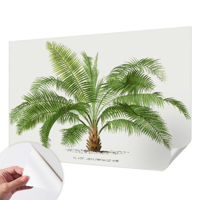 Fotobehang voor de kinderkamer Glanzende palmboom