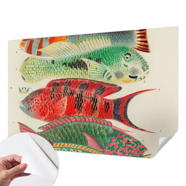 Fotobehang babykamer met illustraties van exotische vissen