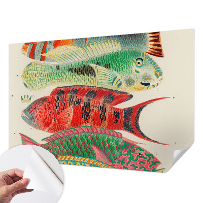 Fotobehang babykamer met illustraties van exotische vissen