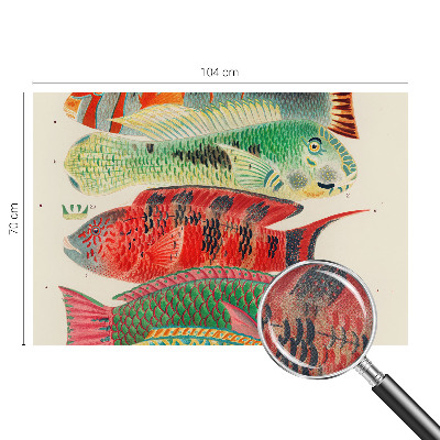 Fotobehang babykamer Exotische vissen