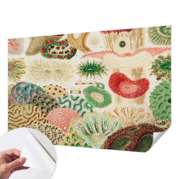 Fotobehang tienerkamer Organische vormen