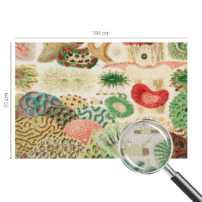 Fotobehang tienerkamer Organische vormen