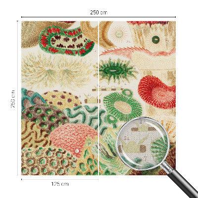 Fotobehang tienerkamer Organische vormen