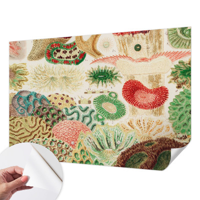 Fotobehang tienerkamer Organische vormen