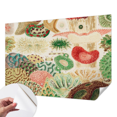 Fotobehang tienerkamer Organische vormen