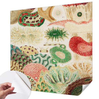 Fotobehang tienerkamer Organische vormen