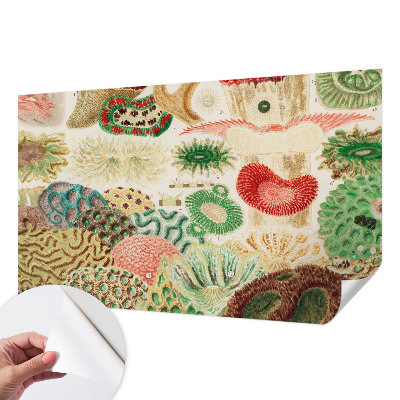 Fotobehang tienerkamer Organische vormen