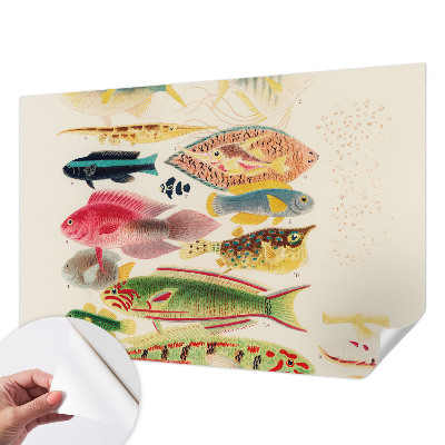 Foto behang voor de keuken met kleurrijke vissen