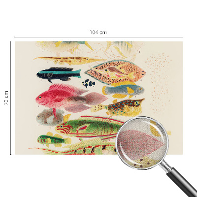Foto behang voor de keuken met kleurrijke vissen