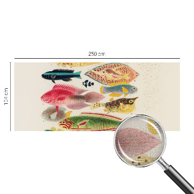 Foto behang voor de keuken Kleurrijke vissen