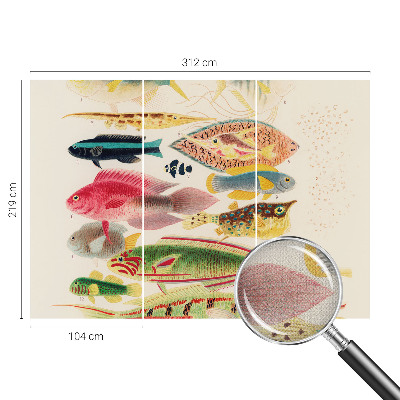 Foto behang voor de keuken met kleurrijke vissen