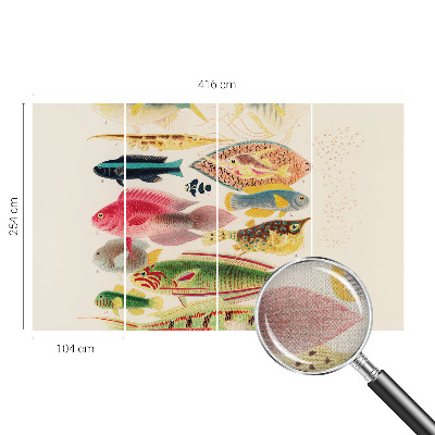 Foto behang voor de keuken met kleurrijke vissen