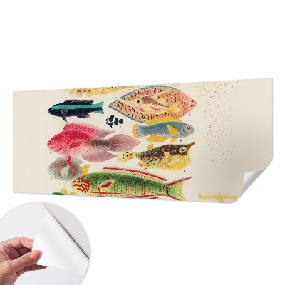 Foto behang voor de keuken met kleurrijke vissen