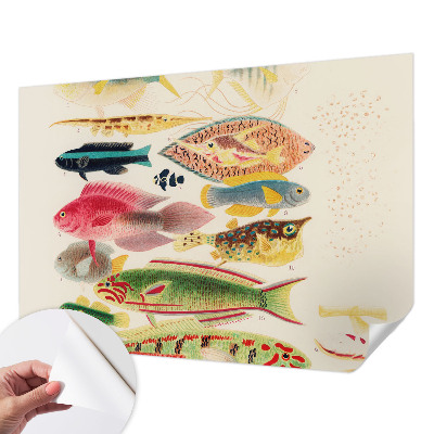 Foto behang voor de keuken met kleurrijke vissen