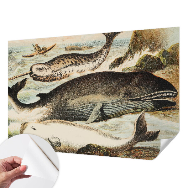 Fotobehang zelfklevend Zeereuzen