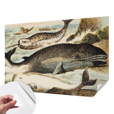 Fotobehang zelfklevend Zeereuzen