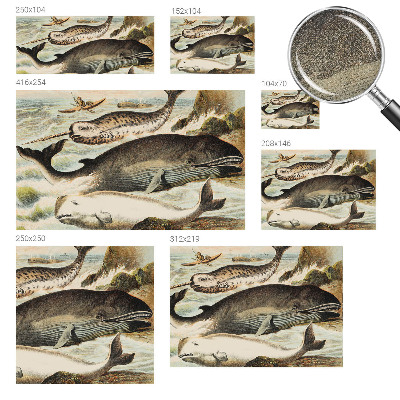 Fotobehang zelfklevend Zeereuzen