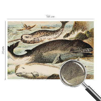 Fotobehang zelfklevend Zeereuzen