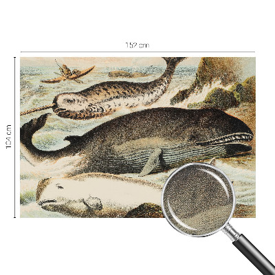 Fotobehang zelfklevend Zeereuzen