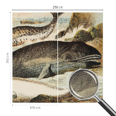 Fotobehang zelfklevend Zeereuzen