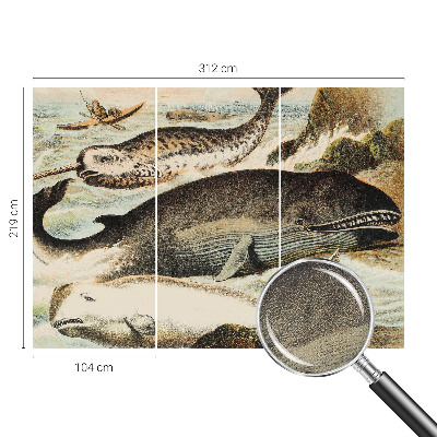 Fotobehang zelfklevend Zeereuzen