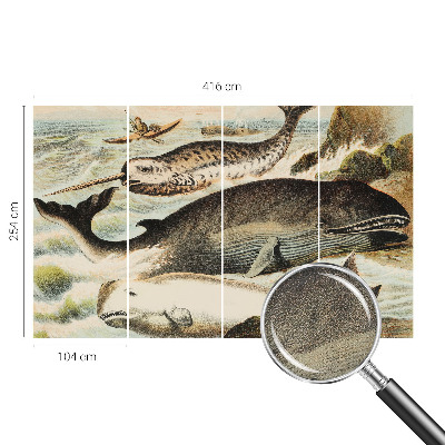 Fotobehang zelfklevend Zeereuzen