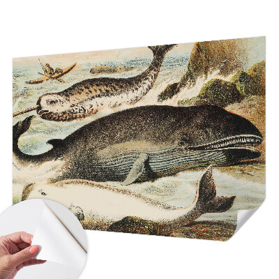 Fotobehang zelfklevend Zeereuzen