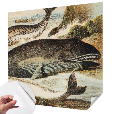 Fotobehang zelfklevend Zeereuzen