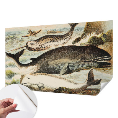 Fotobehang zelfklevend Zeereuzen