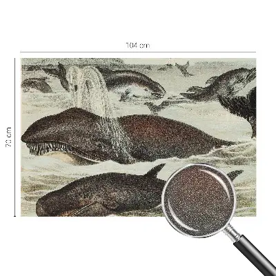 Zelfklevend fotobehang op maat met een ontwerp van zeedieren