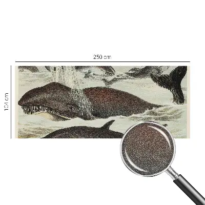 Zelfklevend fotobehang op maat met een ontwerp van zeedieren