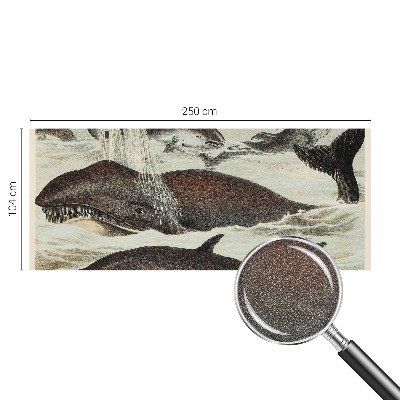 Zelfklevend fotobehang op maat Zeedieren